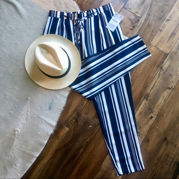 Zara Pants - NWT Zara Striped Pants Cupro Jogger Sz M